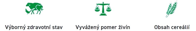 BAŽANT