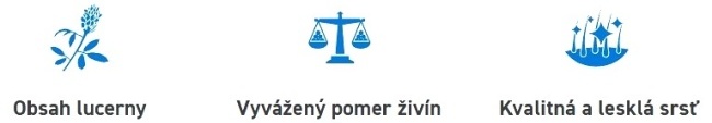 ENERGYS